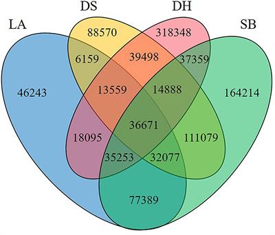 Comparative Analyses of Antibiotic Resistance Genes in Jejunum Microbiota of Pigs in Different Areas